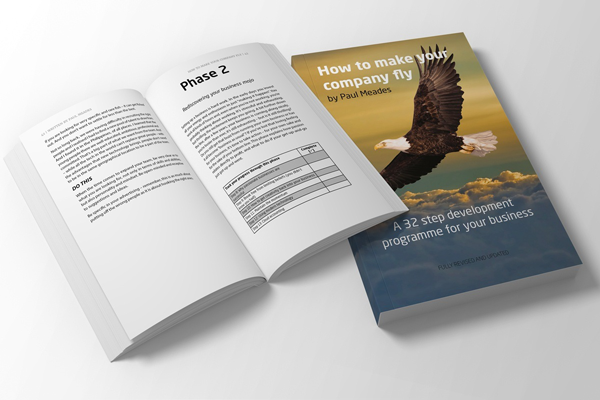 How to make you company fly